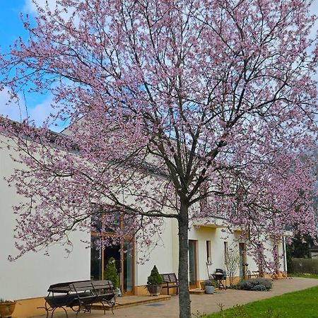 Cellino Hotel Prieros Dış mekan fotoğraf