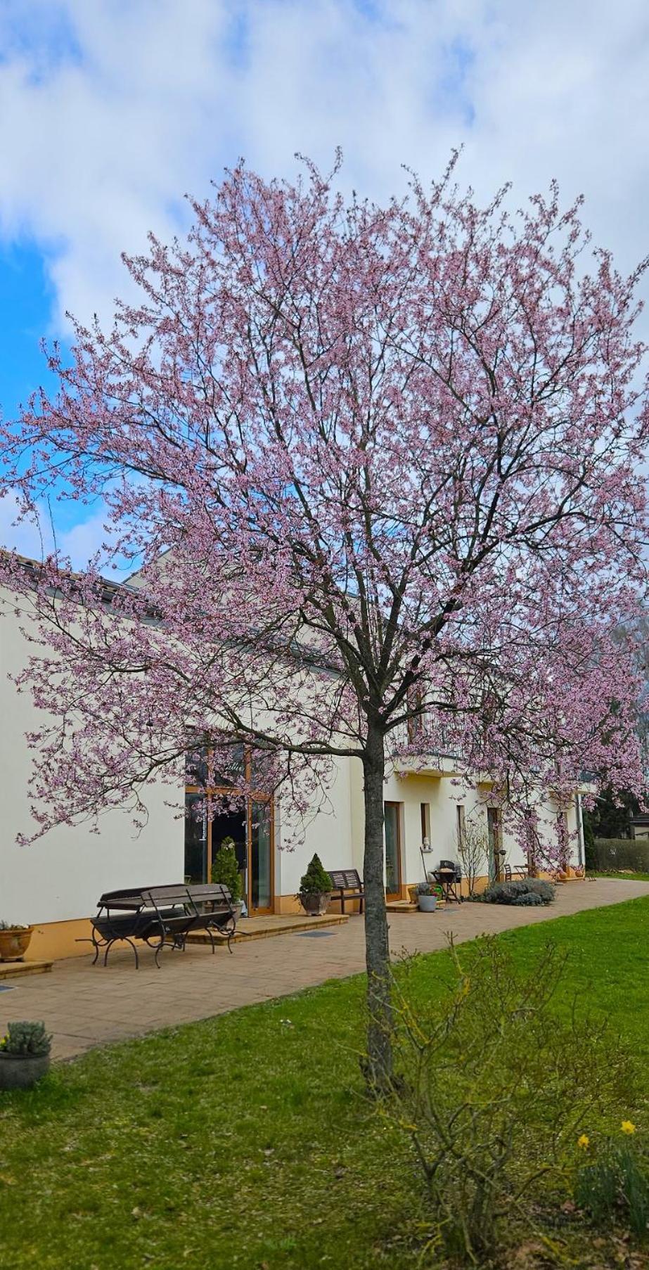 Cellino Hotel Prieros Dış mekan fotoğraf